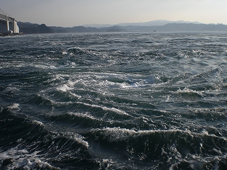 CIMG0683.jpg