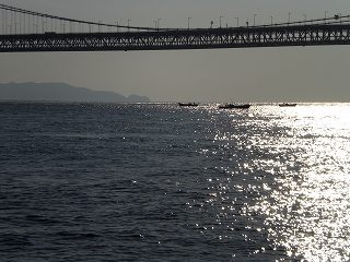 CIMG0688.jpg