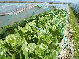 DSCF2687.jpg