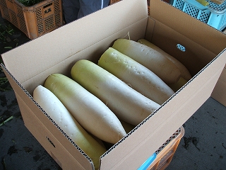 DSCF2717.jpg