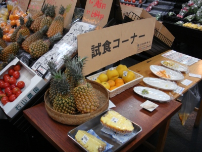 DSC00512.jpg