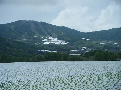 DSCF1100.jpg