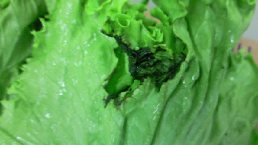 200907281629000.jpg