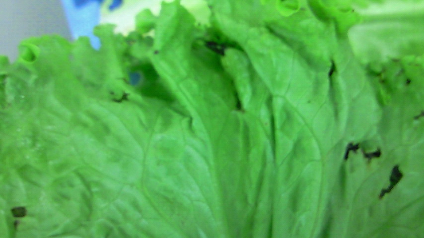 200907281629001.jpg