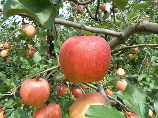 d_83V_83i_83mG7.jpg