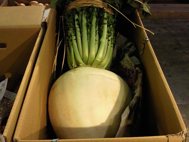 201001160629000.jpg