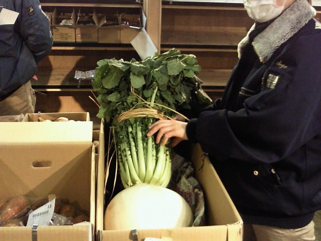 201001160630000.jpg