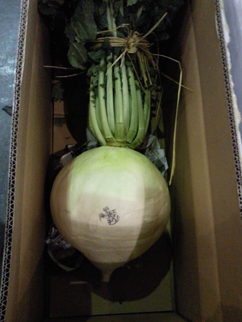 201001160640000.jpg