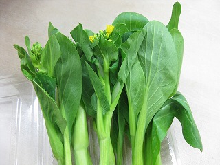 miniIMG_2513.jpg