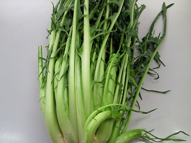 201001300537000.jpg