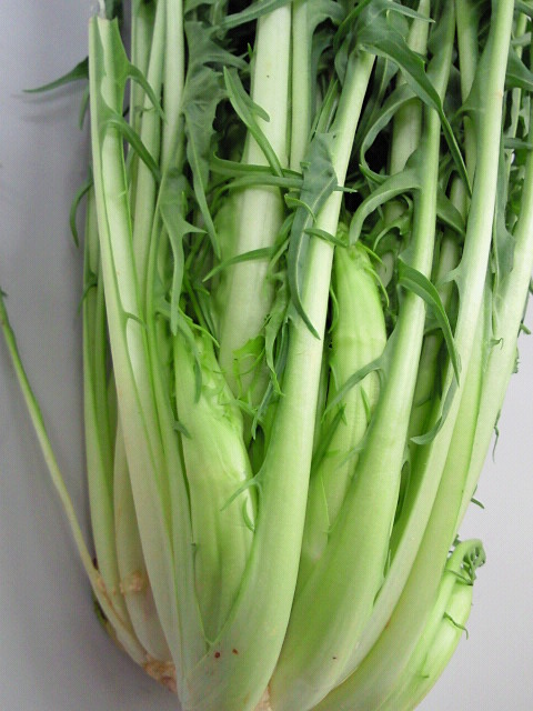 201001300538000.jpg