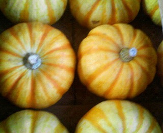 200909250851000.jpg