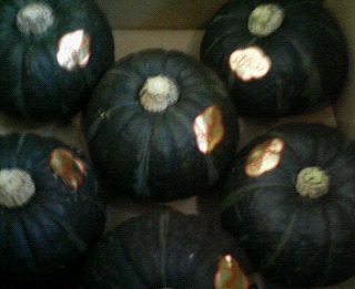 200909250852000.jpg