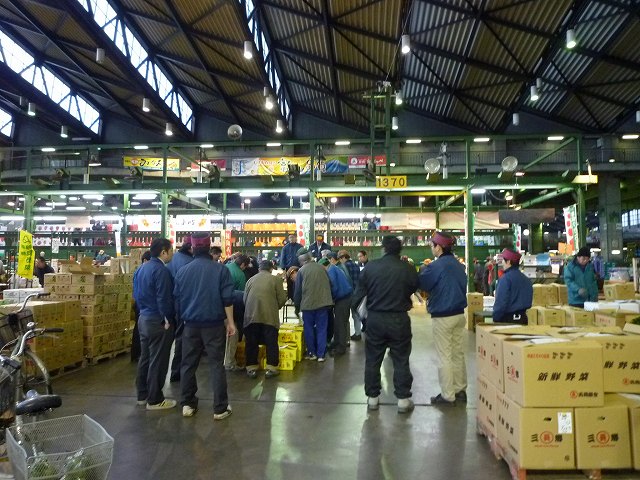 P1070523.jpg