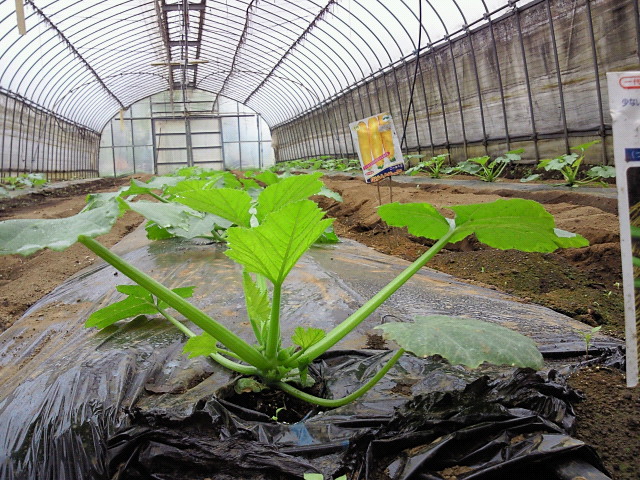 201004221135001.jpg