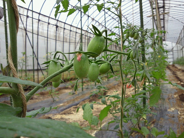 201004221138002.jpg