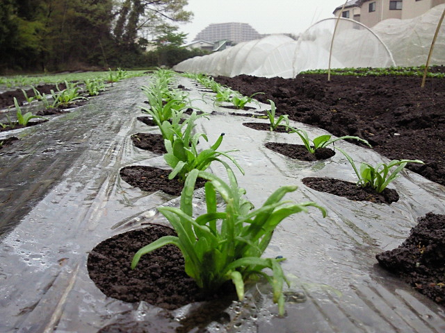 201004221208001.jpg