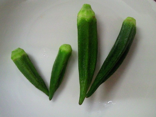 201005242315000.jpg