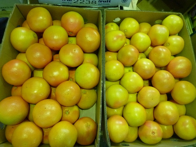 P1090001.jpg