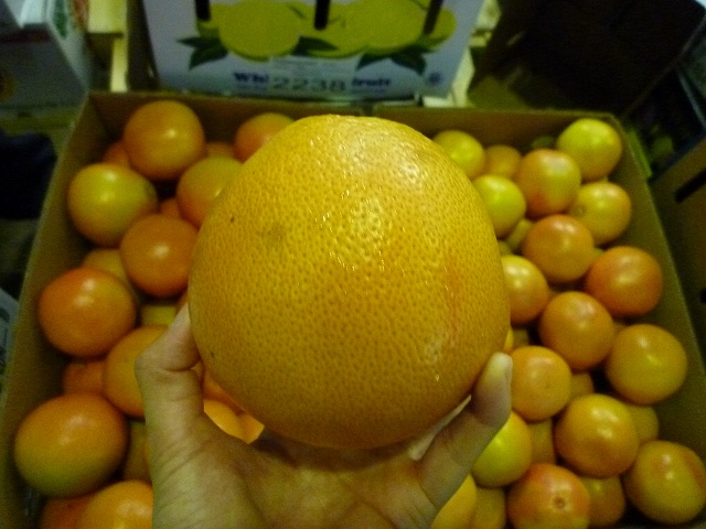 P1090002.jpg