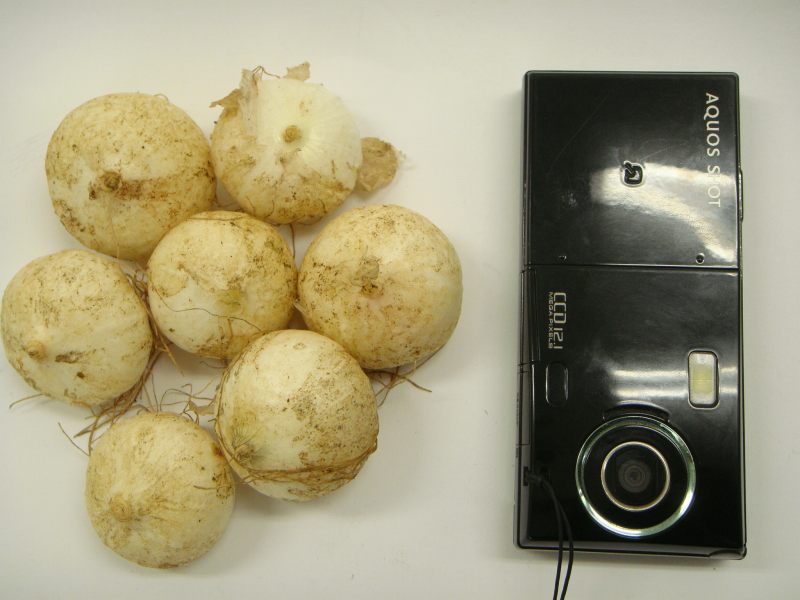 uuDSC05921.jpg