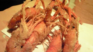 201008152042000.jpg