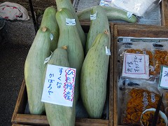 _94_F2_91_CB_004.jpg
