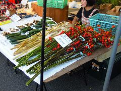 _94_F2_91_CB_005.jpg