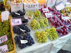 _94_F2_91_CB_009.jpg