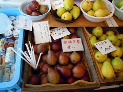 _94_F2_91_CB_010.jpg