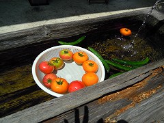 _94_F2_91_CB_014.jpg