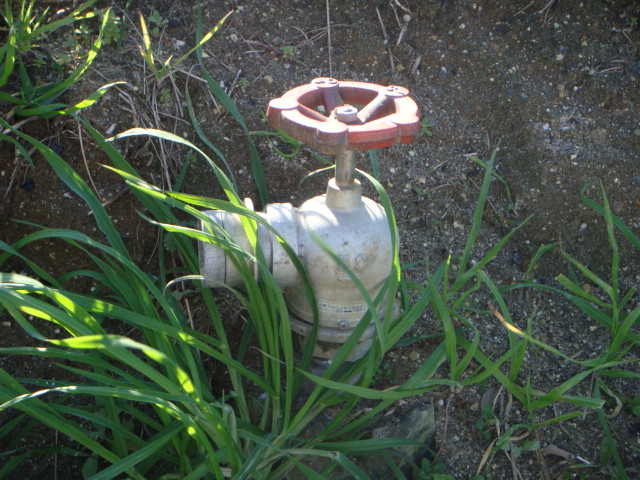 g.JPG