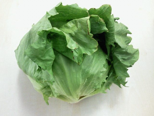 201101141223000.jpg