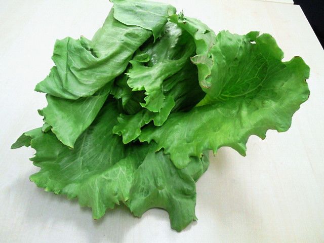 201101141223001.jpg