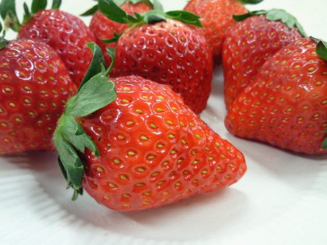 201101171437002.jpg
