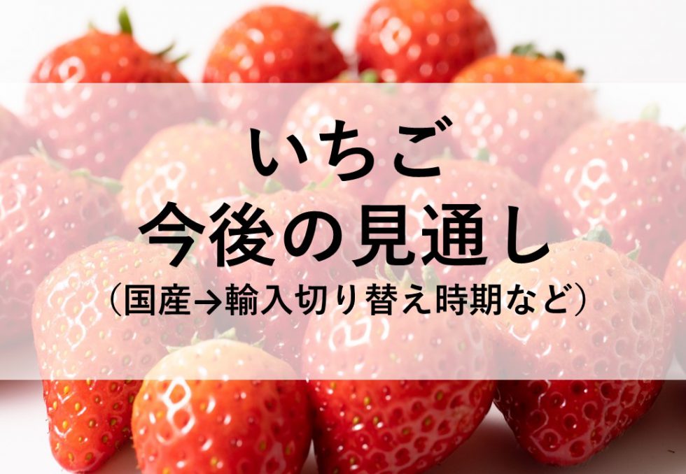6/9追記】いちご今後の見通し（国産→輸入切り替え時期等） - 株式会社