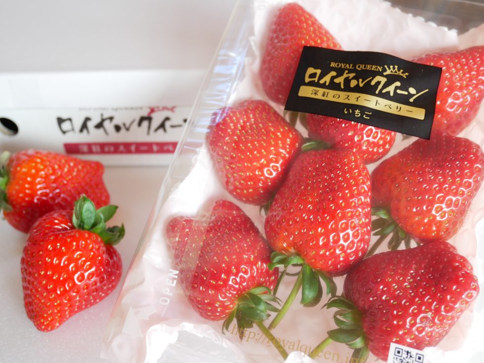 全国で2か所だけ！高貴ないちご「ロイヤルクイーン」のいちご狩りへ