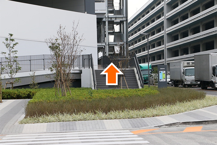 10.渡った先にある階段を上ってください。