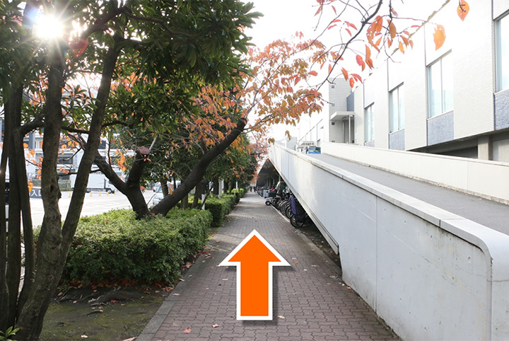 7.右手に駐輪場をみながら直進。