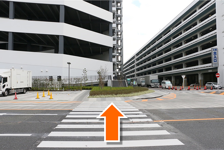 9.横断歩道を渡ります。