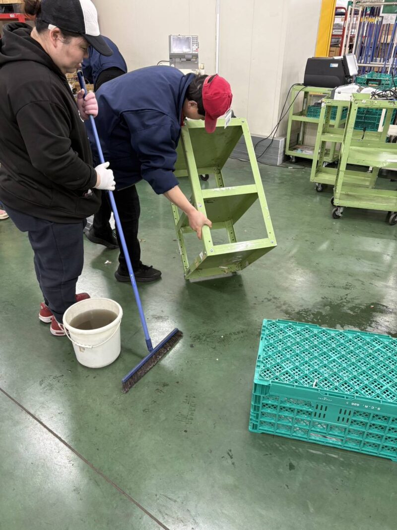 まつの一斉清掃