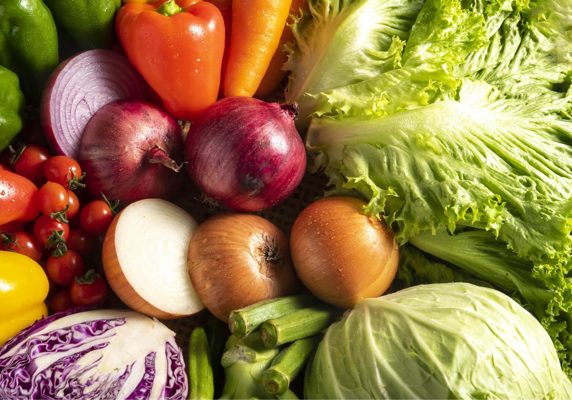 事業紹介 全国一律の対応 × 地域密着の対応