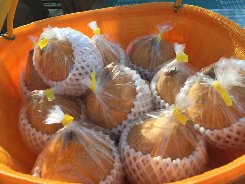 ゼネラルレクラーク