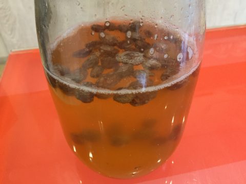 ぶどう酵母