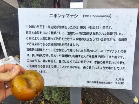 看板