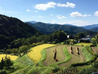 八百屋の台所_おむすび教室