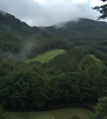 %e6%9d%be%e8%8c%b801