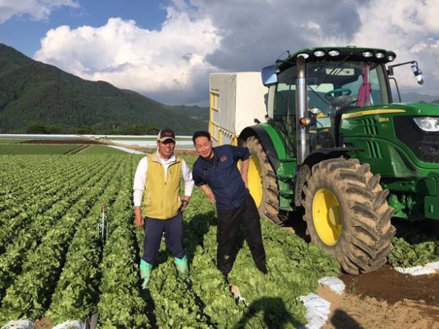 まつのの長野川上集荷センター始動。高原レタスが始まりました