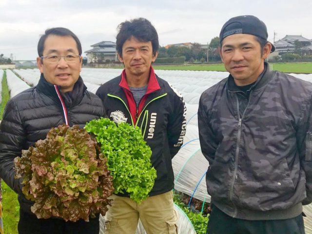 食べられる美しい花束　リーフレタス