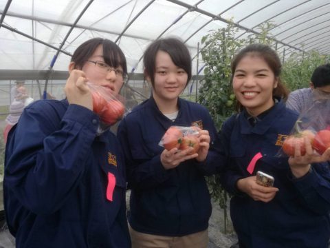 野菜くらぶ収穫祭